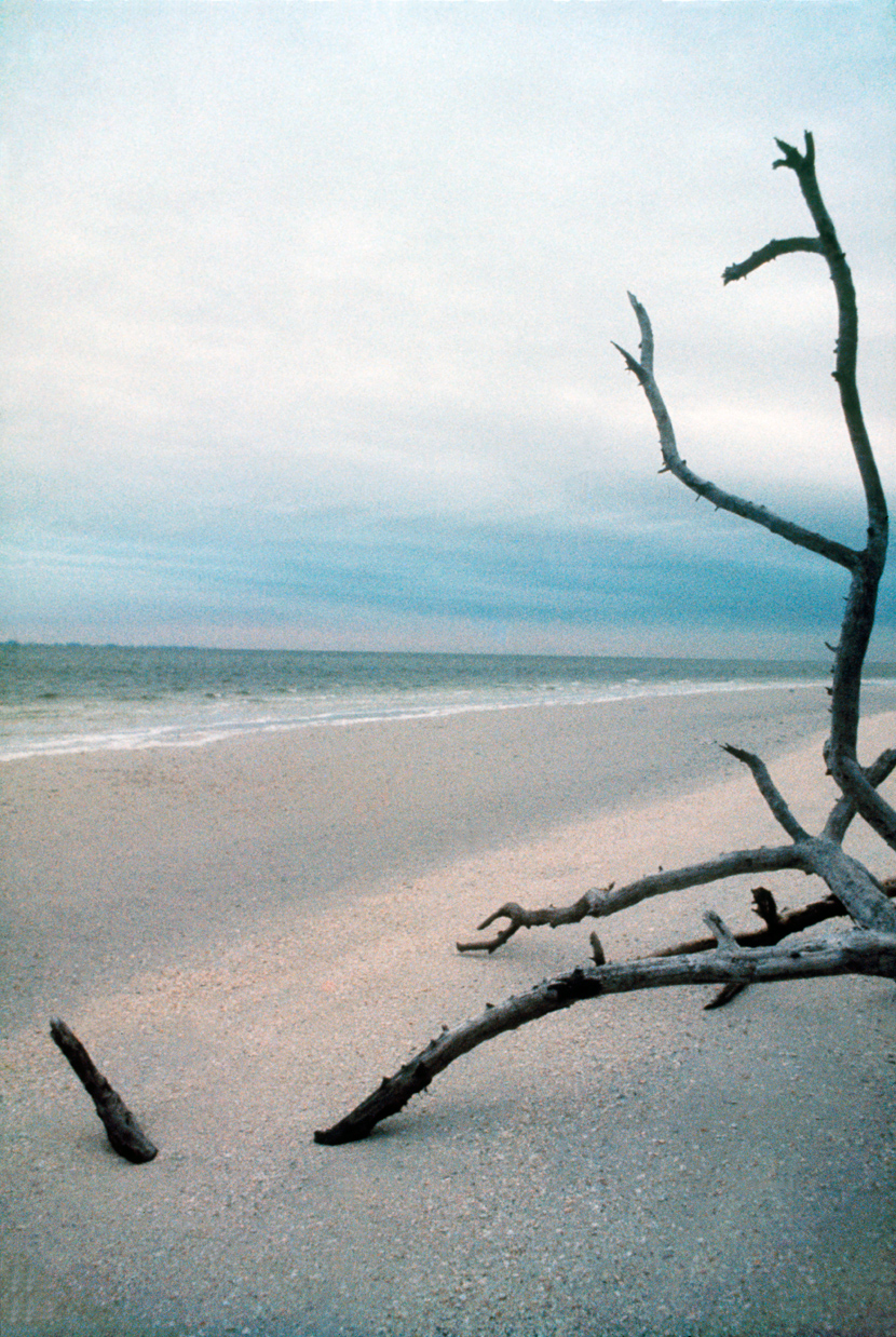 005_Sanibel